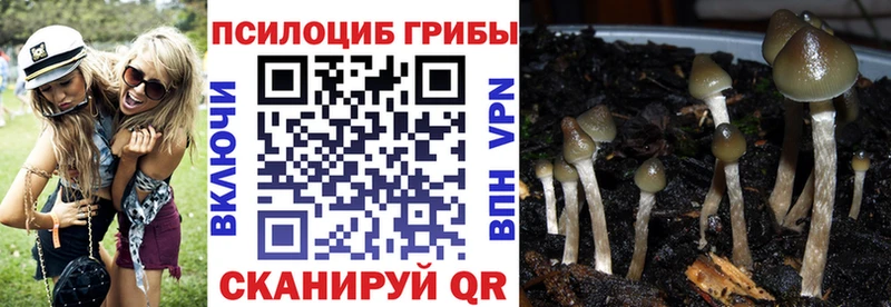 Псилоцибиновые грибы Psilocybine cubensis  даркнет официальный сайт  Лермонтов  наркота 