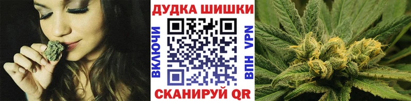 OMG как зайти  наркота  Лермонтов  Бошки Шишки планчик 